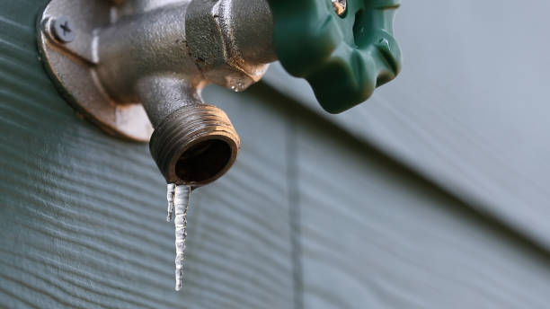 Best Leak Detection Services  in Freeport, PA